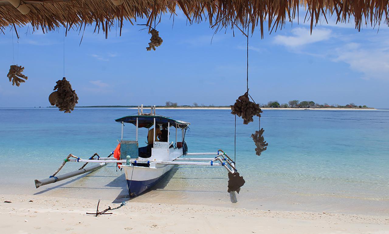 East Lombok Dive Hotel - 3 Private Rooms On The Beach Labuhan Pandan Экстерьер фото
