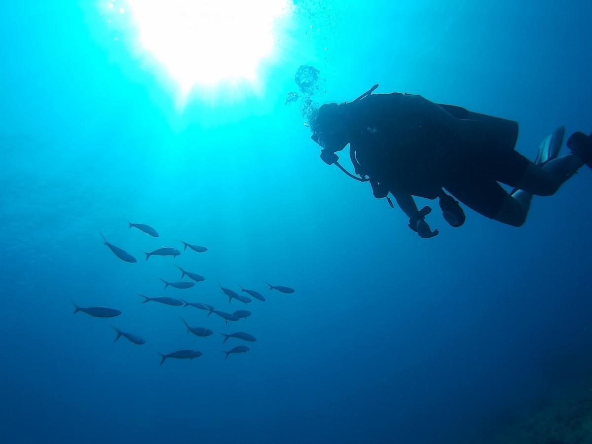 East Lombok Dive Hotel - 3 Private Rooms On The Beach Labuhan Pandan Экстерьер фото